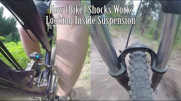 How (Bike) Shocks Work: Looking Inside Suspension