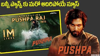allu arjun next movie Pushpa updates #alluarjun aa20 Pushpa latest news updates Sukumar Mnrtelugu