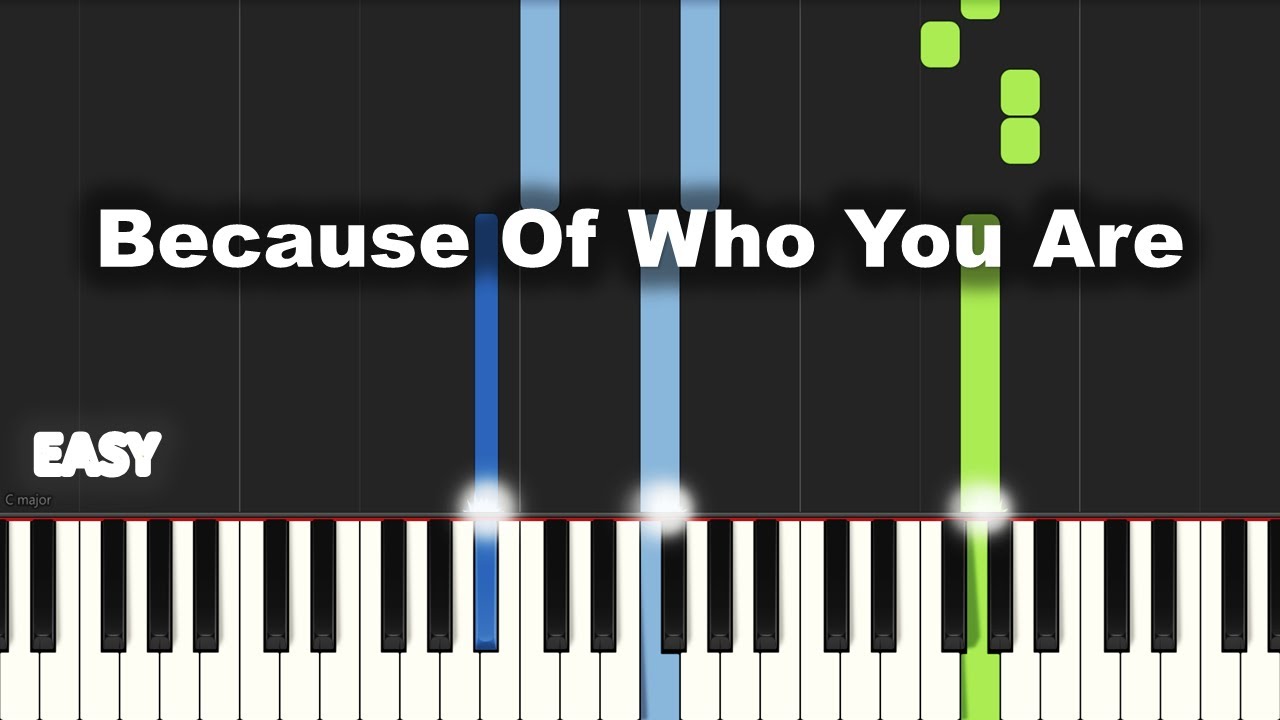 BECAUSE OF WHO YOU ARE Vicki Yohe