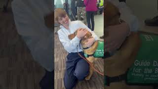 GDB: Conversations with Chris - The Journey of a Breeder Dog and Her Pups