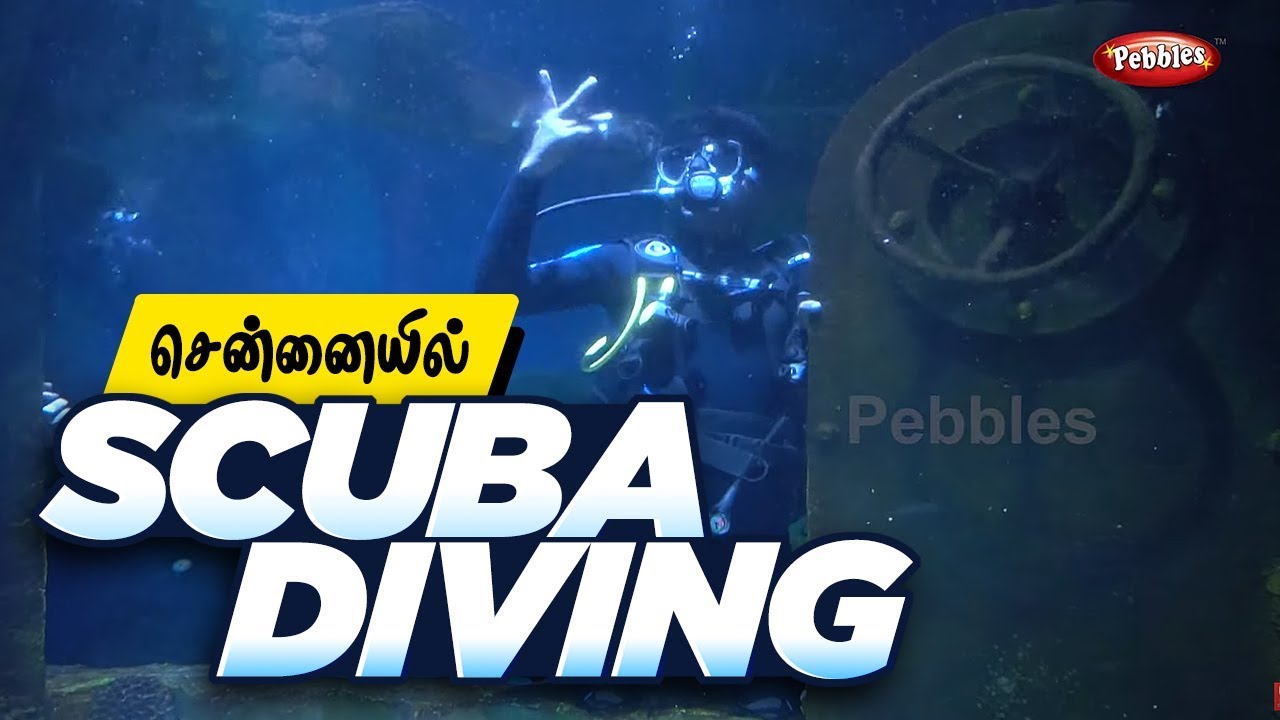 Scuba Diving in VGP Marine Kingdom I UNDER OCEAN JOURNEY IN CHENNAI