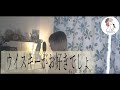 【ウイスキーがお好きでしょ/石川さゆり】covered by 石河美穂(歌詞付き・フル)