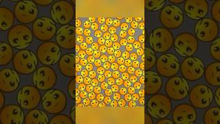 Melon Playground Area Confirmed