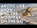 FREE-RANGING the SNOW! Arctic Like Snow, Temps Way Below, And The WOOFPAK On the Go!!