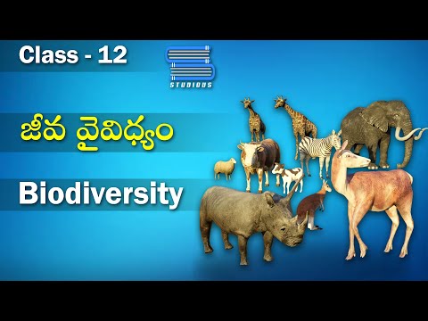 What Is Meant By Biodiversity In Telugu