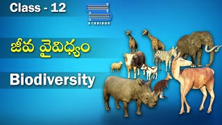 Biodiversity | Biodiversity and Conservation | Biology Class 12 | BiPC 2nd Year