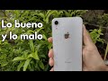 IPhone XR en 2021  ¿Vale la pena? | Revisión Honesta