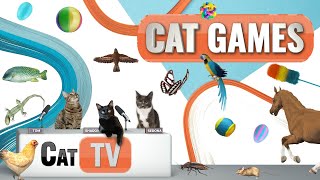 กสท เกมส์ | Ultimate Cat TV Compilation เล่ม 40 | 2 ชั่วโมง 🐝🐞🦋🦎🦜🐜🐭🧵