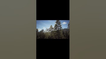 ﴿۞ رَبِّ قَدۡ ءَاتَيۡتَنِي مِنَ ٱلۡمُلۡكِ﴾ - يوسف (١٠١) .. القارئ الشيخ محمد صديق المنشاوي