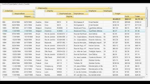 Exontrol Expandable Header