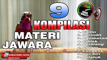 🔴 KOMPILASI MASTERAN KONIN ISIAN JUARA JEDA PROFESIONAAL COCOK UNTUK MASTERAN SEGAALA JENIS BURUNG !