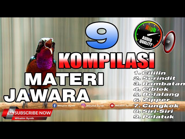 🔴 KOMPILASI MASTERAN KONIN ISIAN JUARA JEDA PROFESIONAAL COCOK UNTUK MASTERAN SEGAALA JENIS BURUNG ! class=