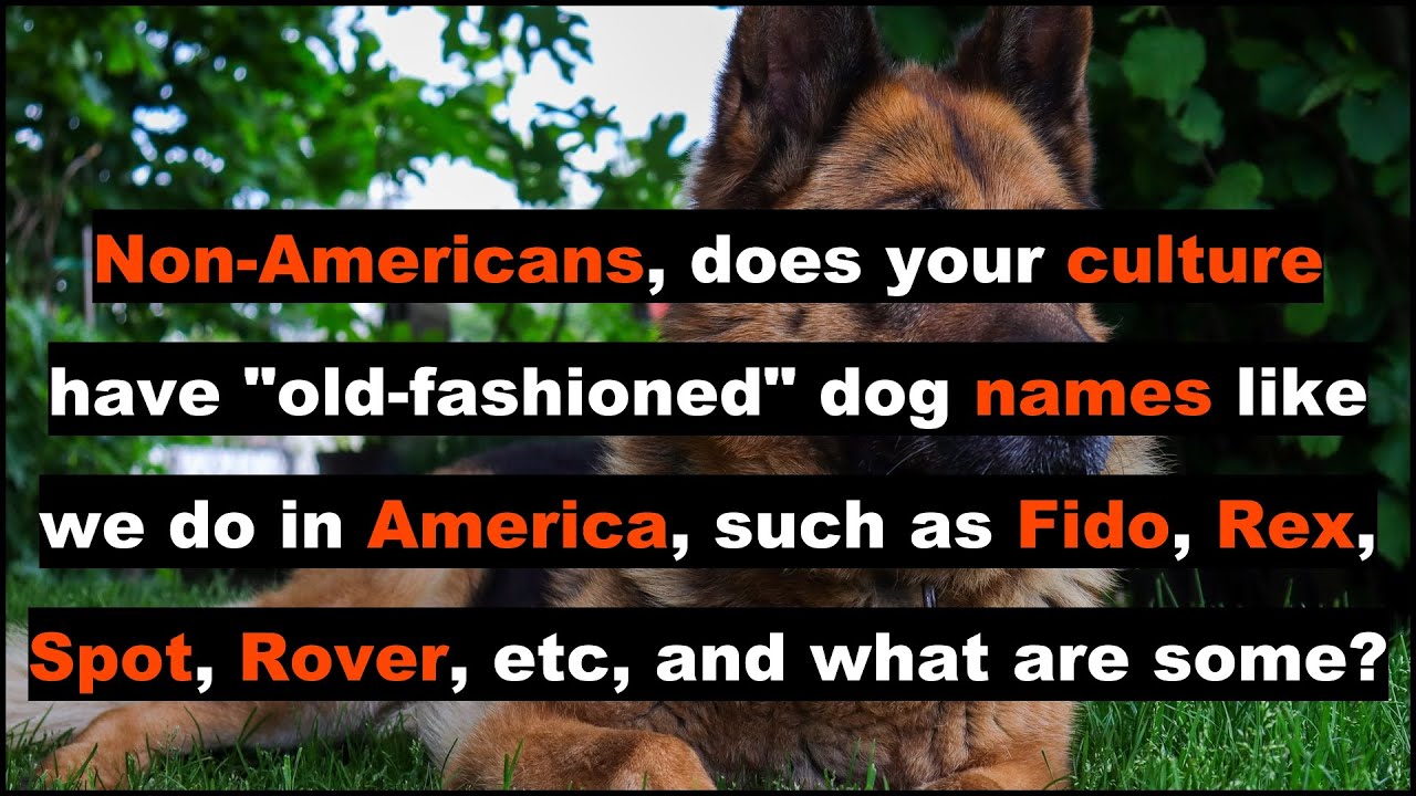 Non-Americans, does your culture have "old-fashioned" dog names like we do in America? (askreddit)