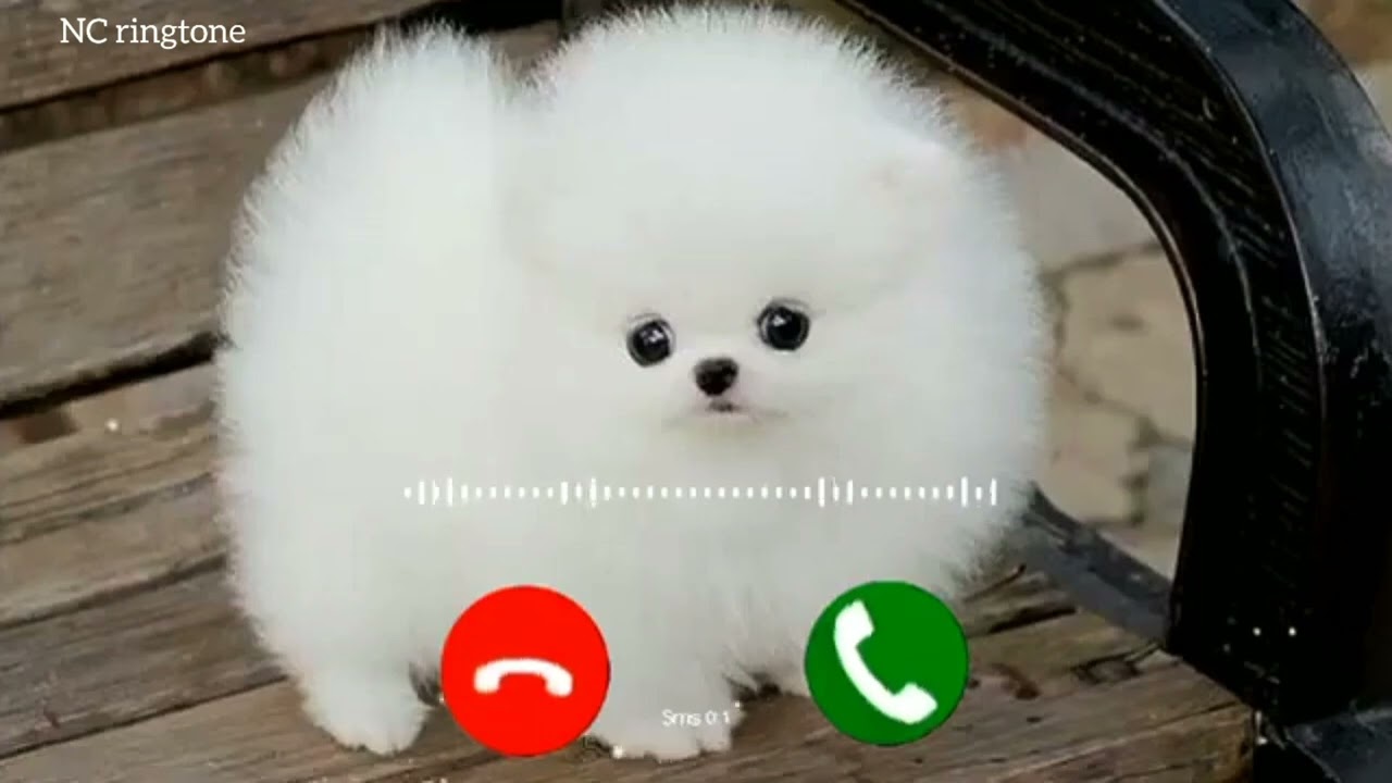 turmeric colour change experiment 