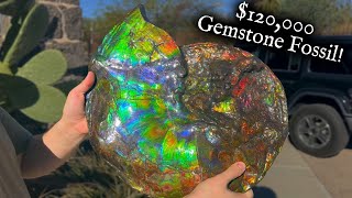 $120,000 Gemstone Fossil Found at Granada!