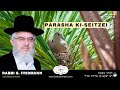 פרשת כי תצא סוד קן צפור 