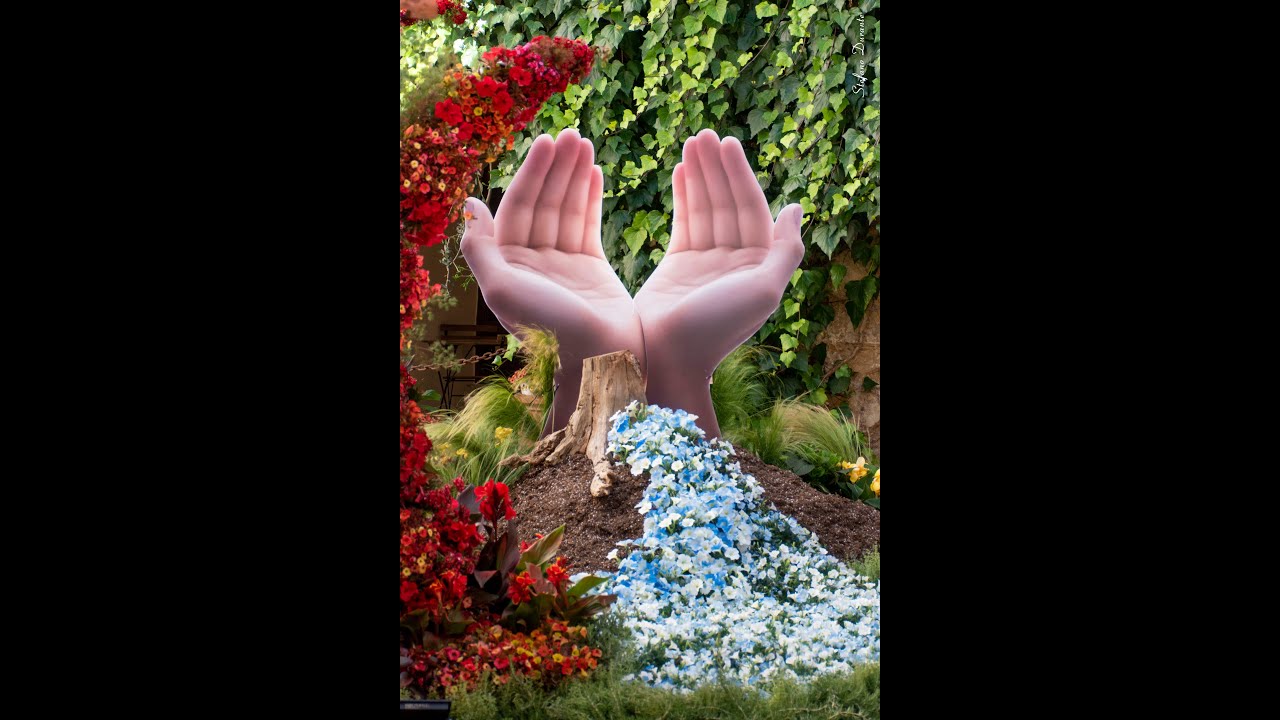 leverano in fiore 2025