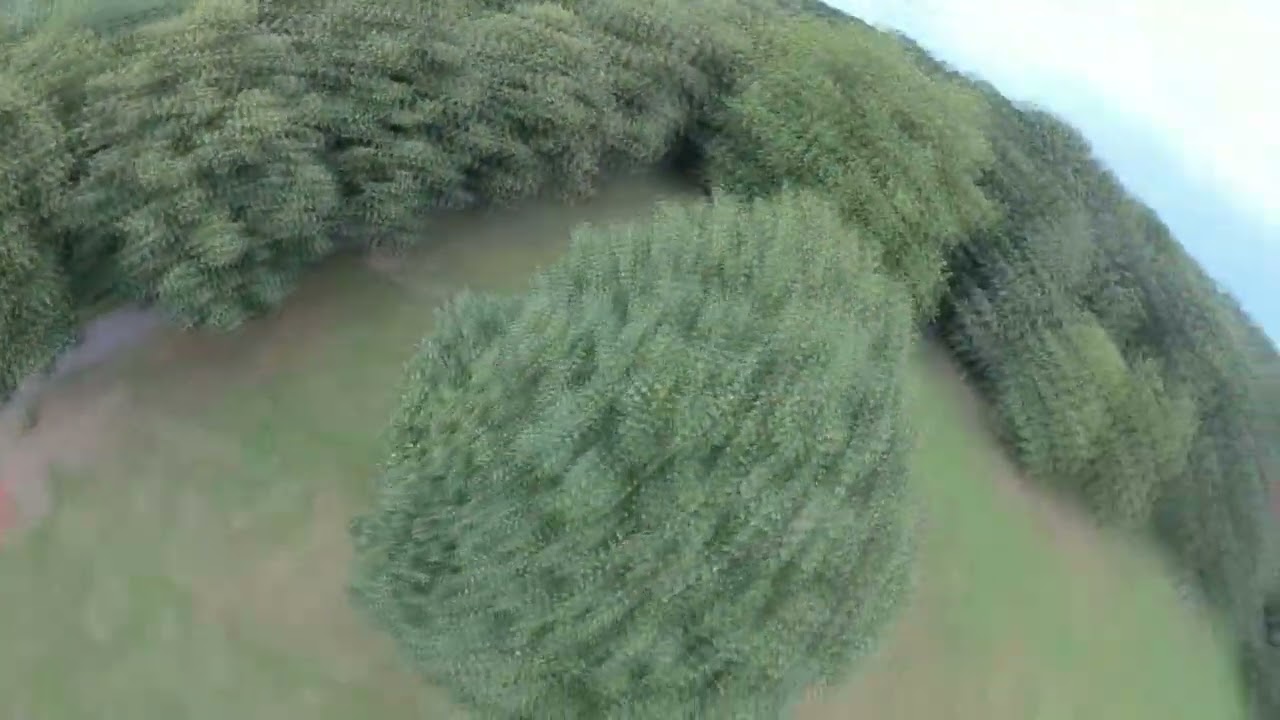 Hold Me! / Gaullin - OP OPA