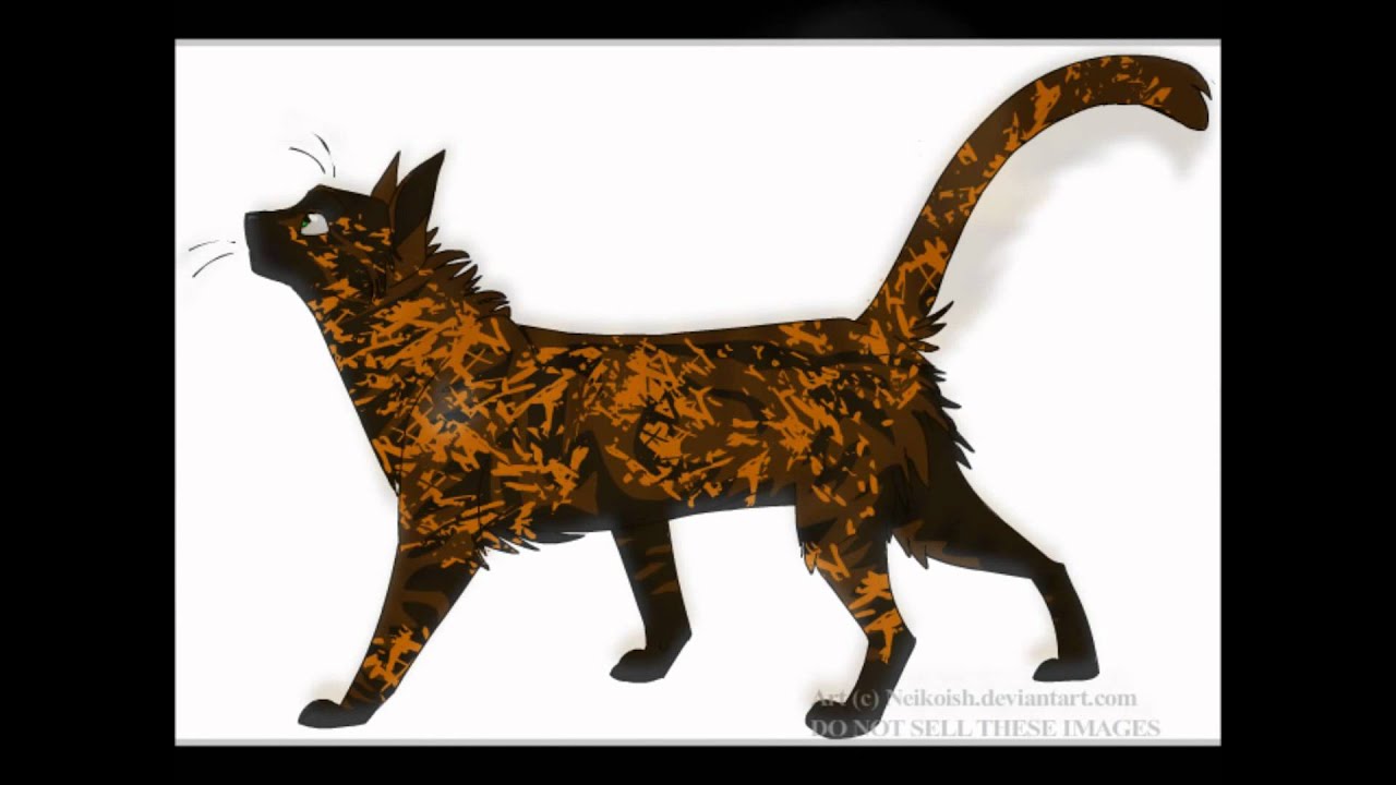 NEW Warrior Cats New Characters Voices Needed YouTube