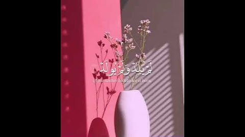 سورة الاخلاص بصوت جميل .. #قرأن