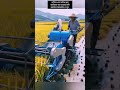 🌾 ধান কাটার কষ্ট শেষ! পানিতে চলা জাপানি মিনি কম্বাইন হারভেস্টার দেখুন