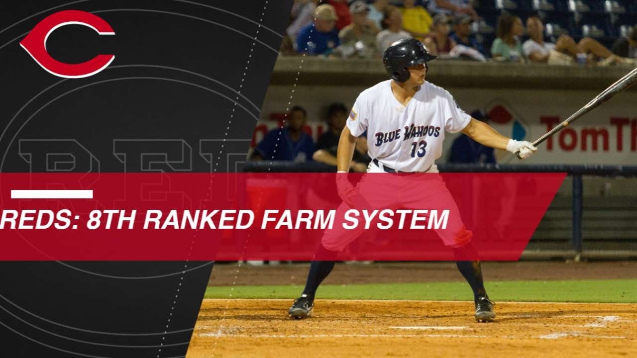 Highlights of the Reds' top prospects