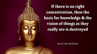 Mastering the Art of Buddhist Meditation: Cultivating Concentration, Mindfulness, and Inner Peace