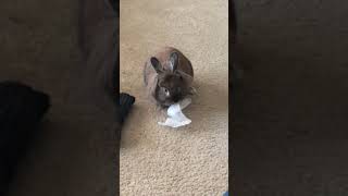 We Are Still Working On No watch With Sound