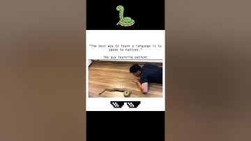 🤪🤪🤪Easy way to lean Python 🤪🤪🤪 #codingbat #memes #programmerlife #cppprogramming #funny #codeprep