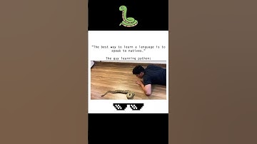 🤪🤪🤪Easy way to lean Python 🤪🤪🤪 #codingbat #memes #programmerlife #cppprogramming #funny #codeprep