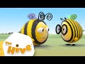 The Hive Full Episodes 1 HOUR 10 X Episodes The Hive Official 