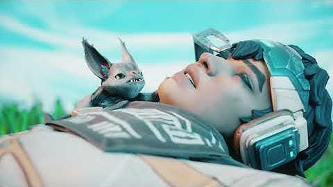 ECHO - A 3D APEX MONTAGE