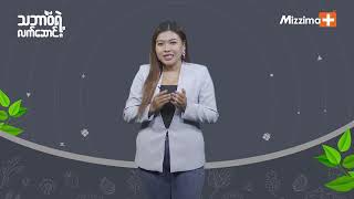 သစ်ကြားသီးရဲ့အကျိုးကျေးဇူးများ screenshot 5