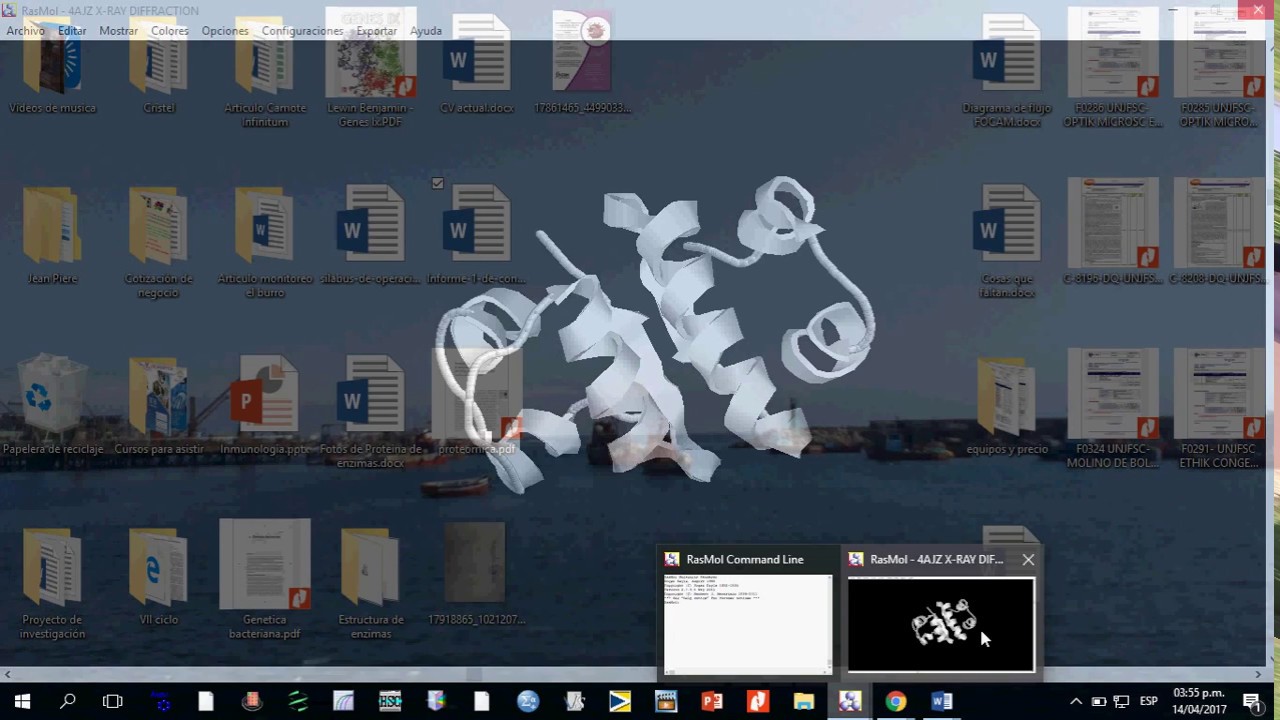Descargar en el Protein Data Bank y programa Rasmol YouTube