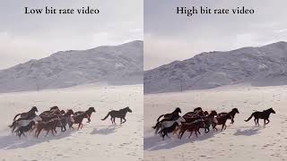 Low Video Bitrate vs High Video Bitrate and its Video Quality
