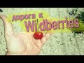 Овощи-фрукты//Дорога к Wildberries//Заливает дождём