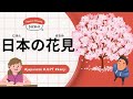 7 Minutes Simple Japanese Listening - Japanese culture of "Hanami" #jlpt