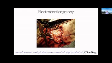 Data Science Seminar: Bradley Voytek