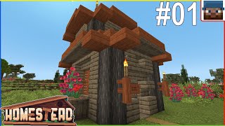Homestead #01 - Kickin It Back and Takin It Easy on Homestead!