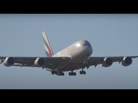 Auckland airport livestream with Kev at the lookout