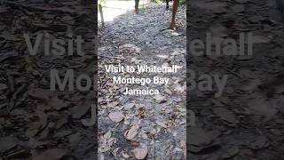 Enjoying what God made for us to enjoy.Nariva Swamp 🇹🇹