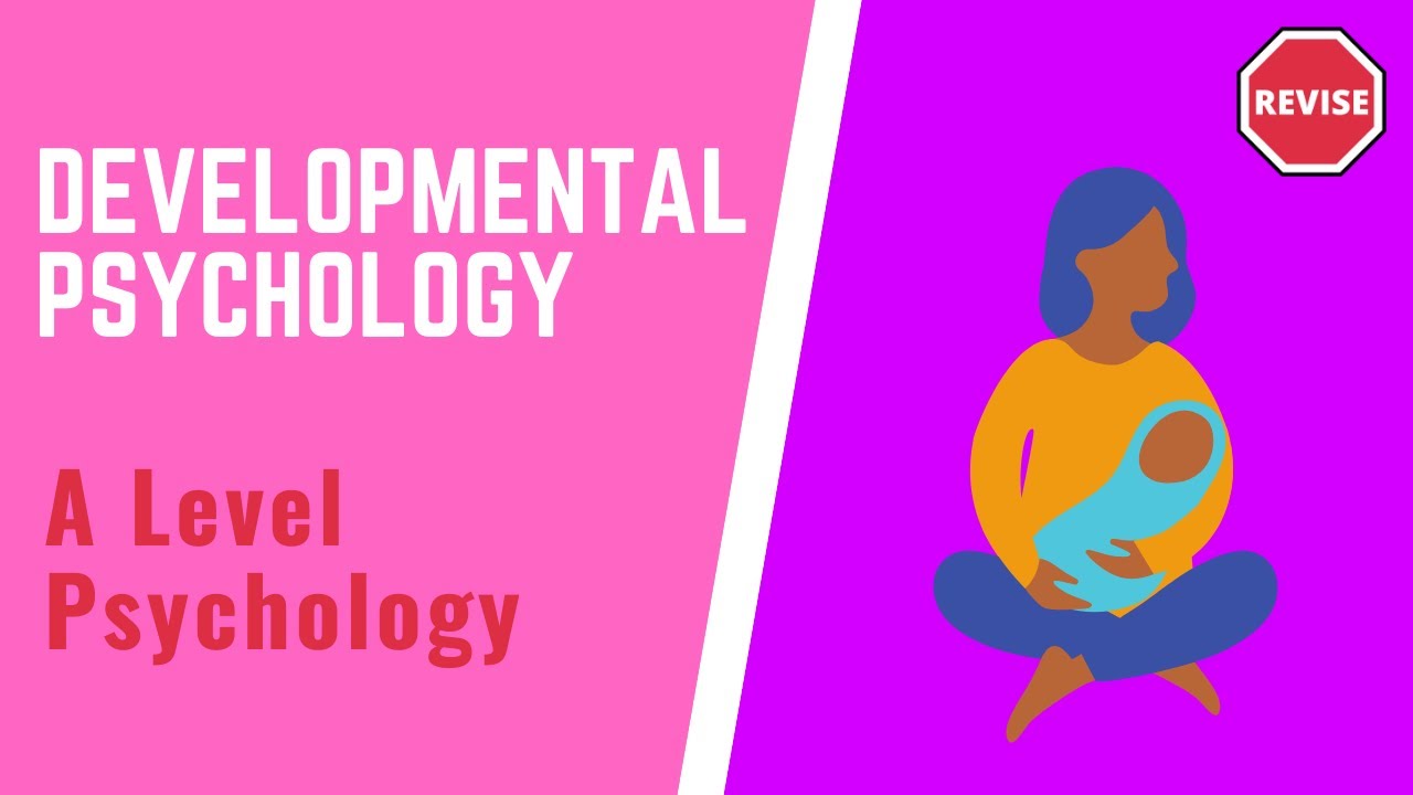A Level Psychology - Developmental Psychology