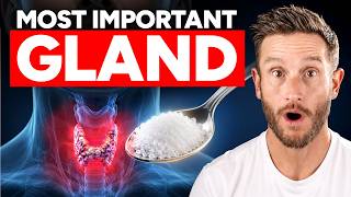 5 Things Your Thyroid is Starving For (and your doctor isn't checking)