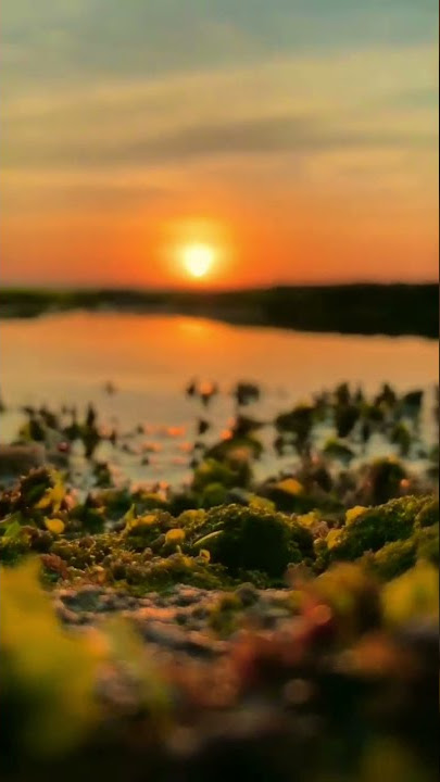 MENTAHAN SUNSET DI PANTAI #shorts