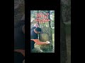 Spirits talk about how I cut myself while cleaning a headstone #ghost #paranormal #cemetery
