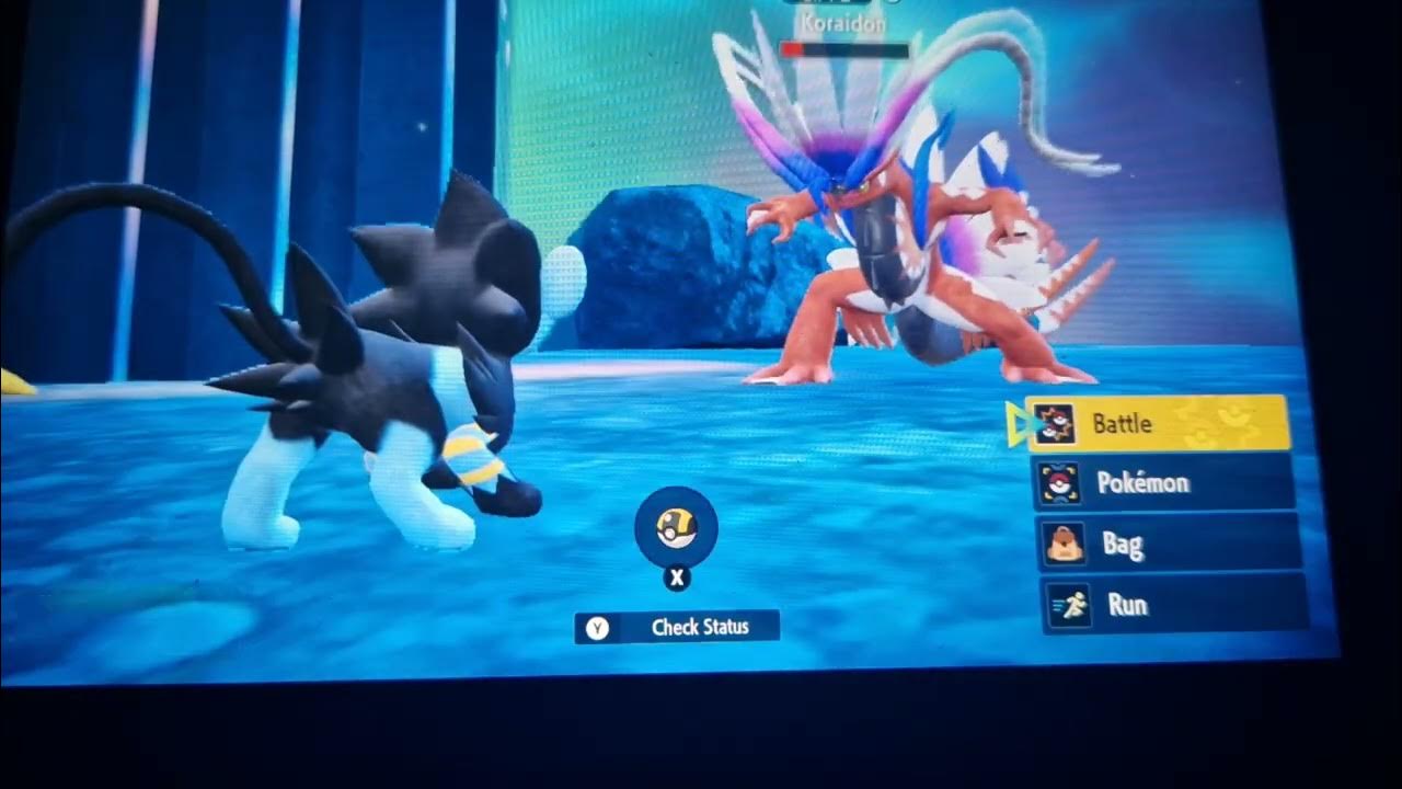 Pokémon Scarlet and Violet Ep23 HOW TO CATCH A 2ND KORAIDON! YouTube