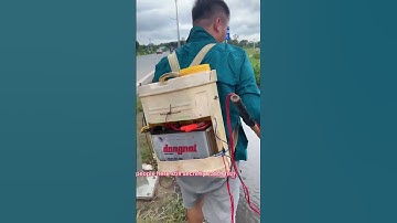 Tiba-tiba ketemu orang yang lagi mancing pake listrik #electrofishing #carp #konservasi