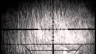 Home made night vision, first field test