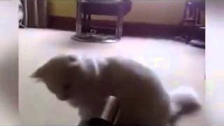 Prikolyy 2014 Smeshnoe Video Rzhach 3Gp