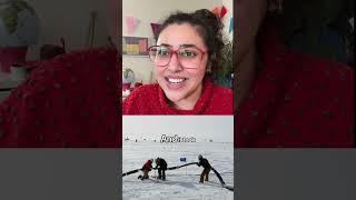 Whats Buried At The South Pole? Lots Of Science